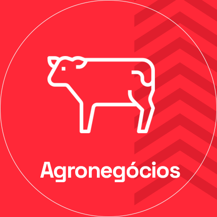 compre-por-departamentos item